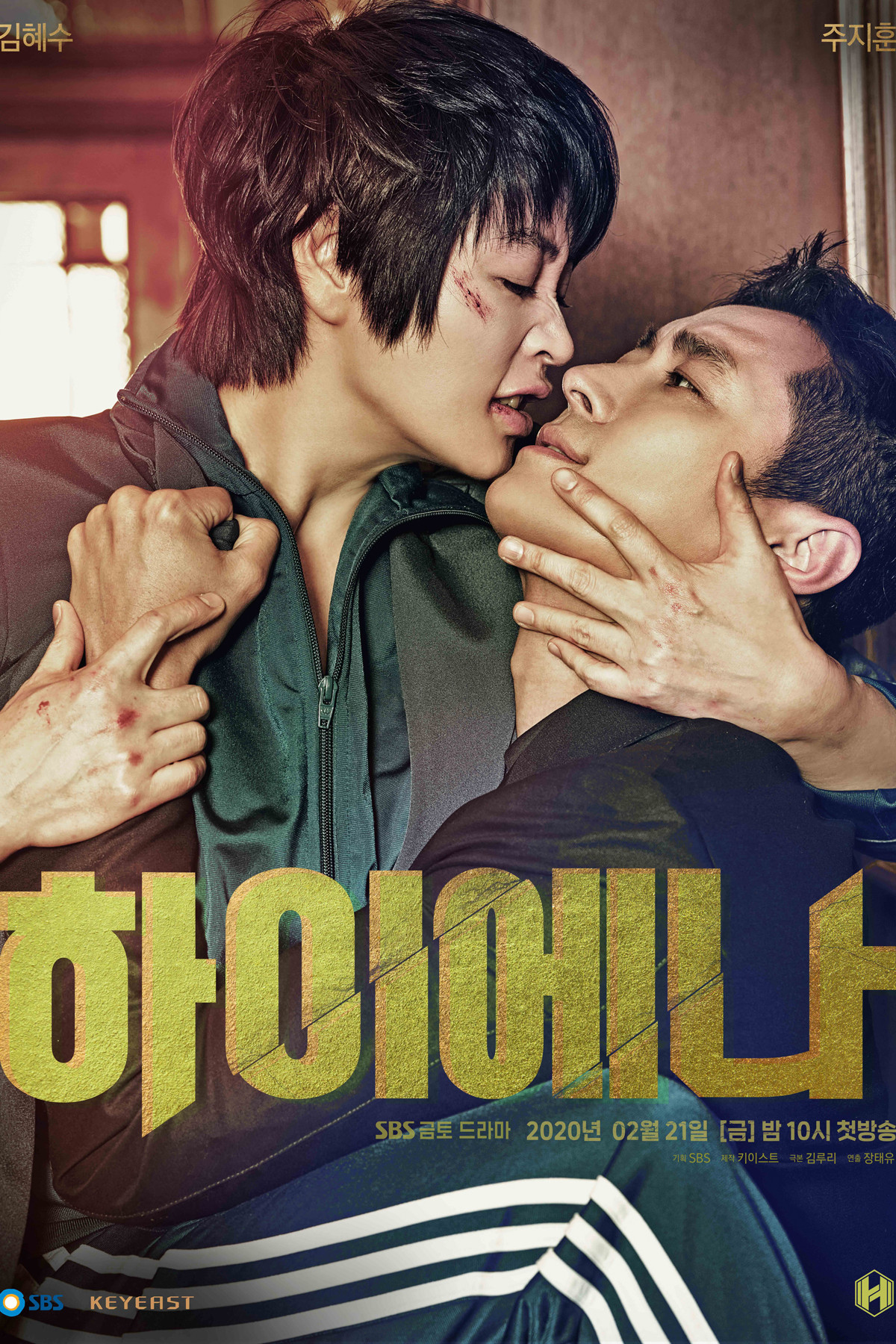 하이에나 포스터