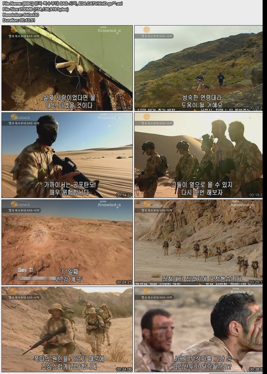 BBC 사막 포스터