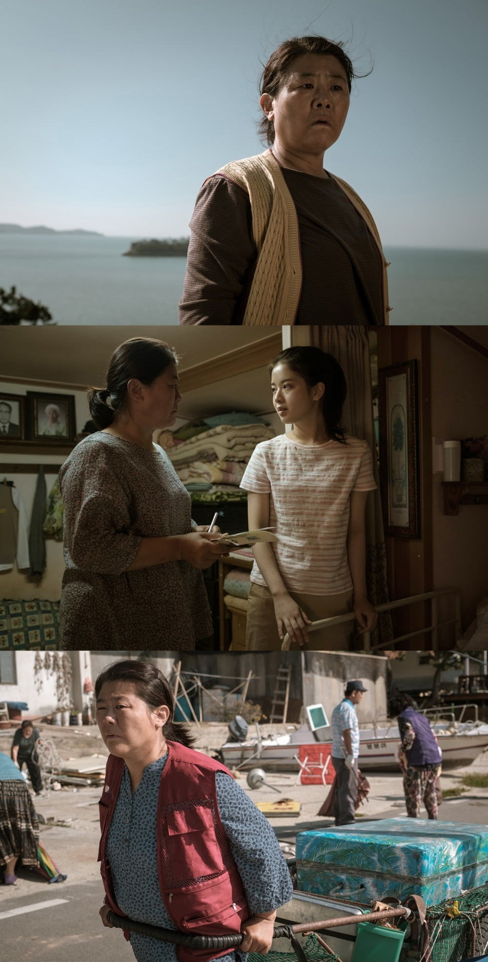 백남 숲 포스터