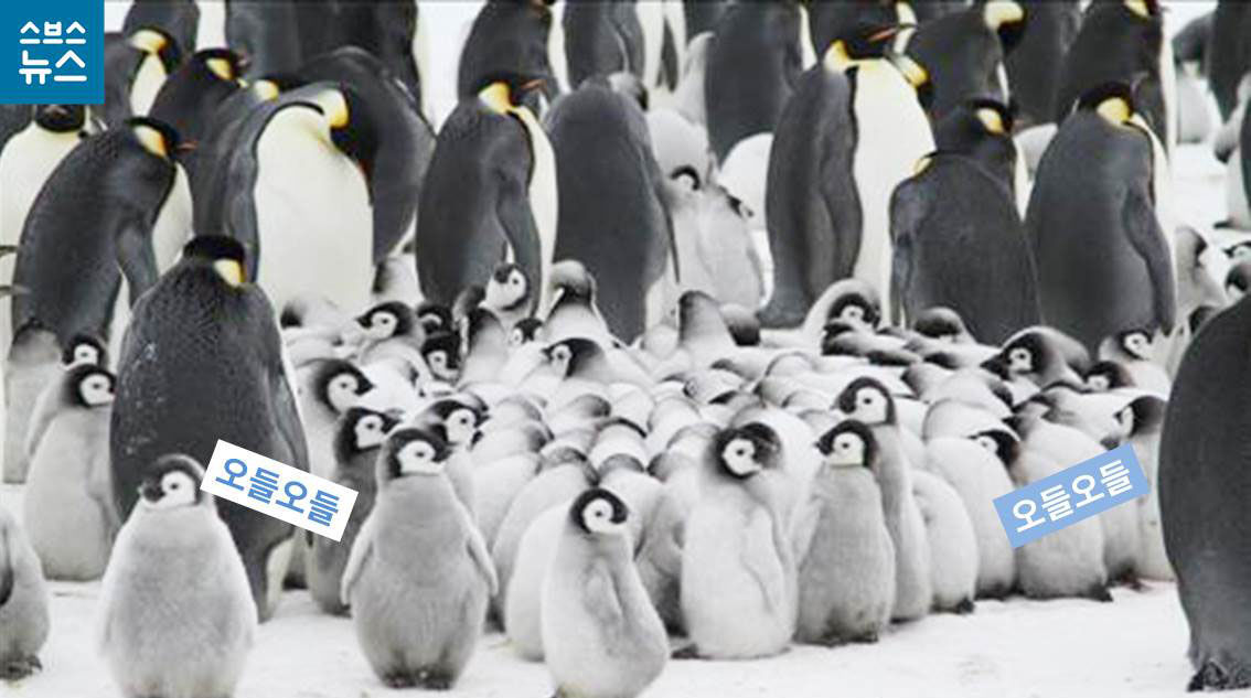 극한 환경 생물 포스터